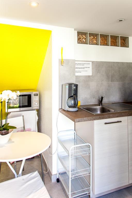 Villa Schiller, 2 Studios Cote Jardin - Quartier Orangerie Strasbourg Room photo